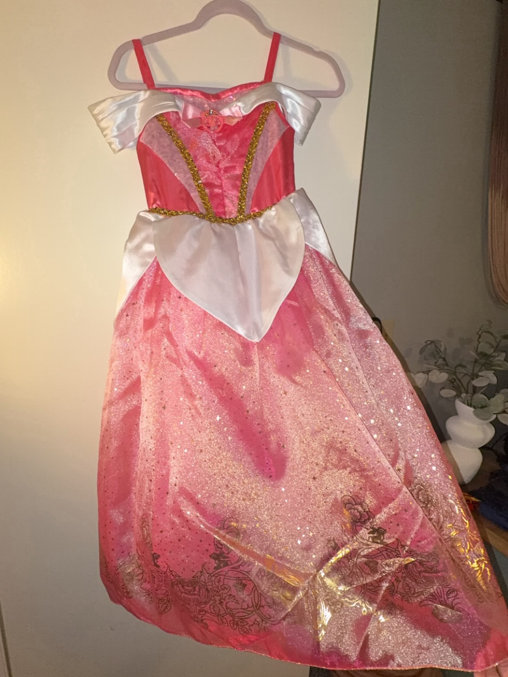 Pink Sleeping  Princess Costume Dress for Kids